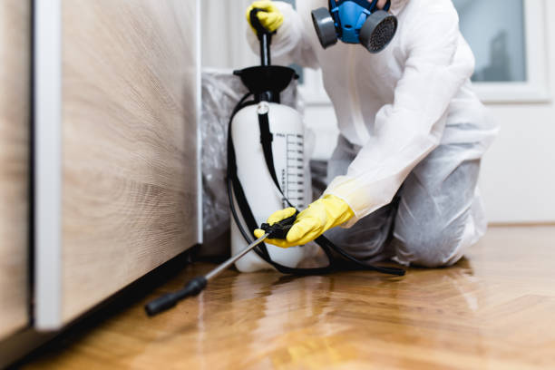 Best Residential Pest Control  in Albion, MI