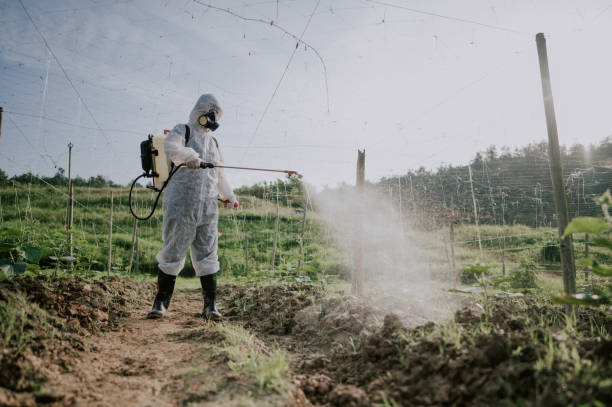 Best Ant Control Services  in Albion, MI