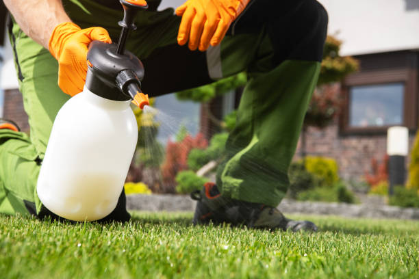 Best Affordable Pest Control Services  in Albion, MI