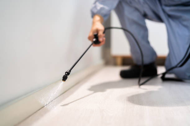 Best Wasp Removal Services  in Albion, MI