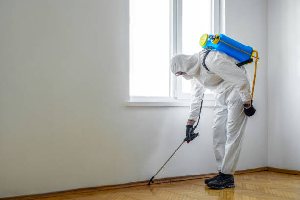 Best Cockroach Control Services  in Albion, MI