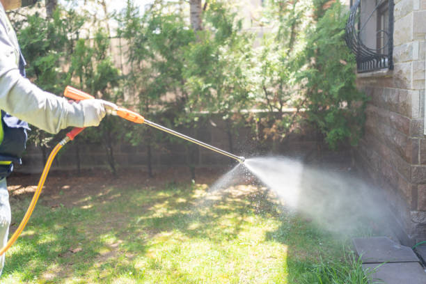 Best Pest Prevention Services  in Albion, MI