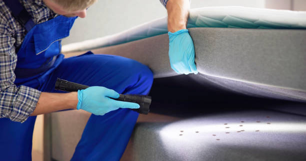 Best Pest Control Cost  in Albion, MI