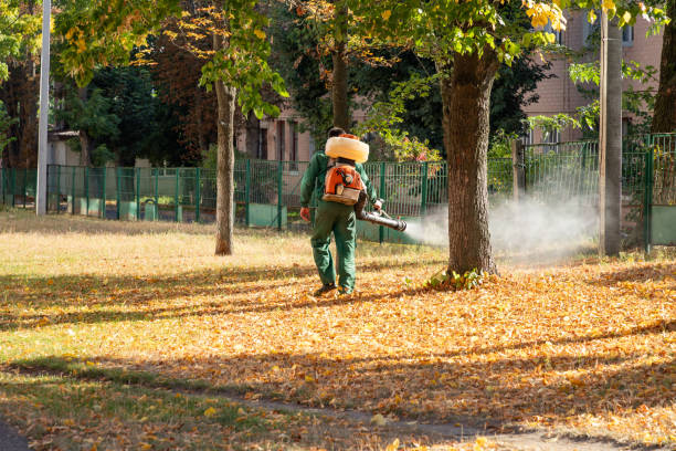 Best Pest Removal Services  in Albion, MI