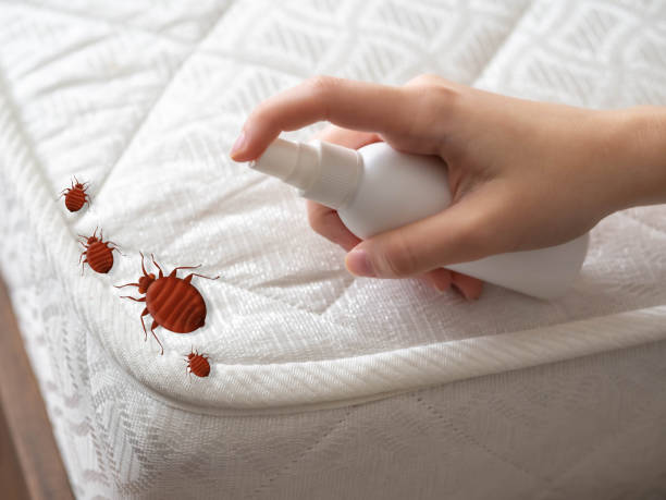 Best Emergency Pest Control  in Albion, MI