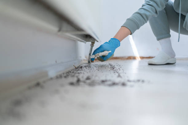 Best Best Pest Control Companies  in Albion, MI
