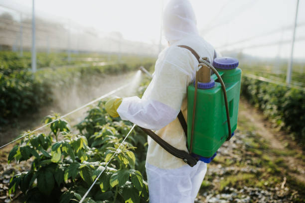 Trusted Albion, MI Pest Control Experts
